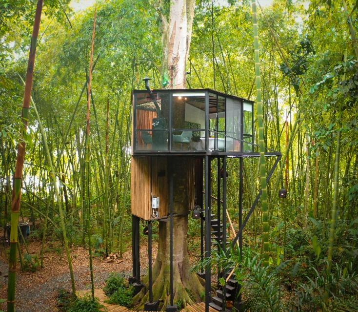 Amanatu Ecolodge & Spa Quimbaya Zewnętrze zdjęcie