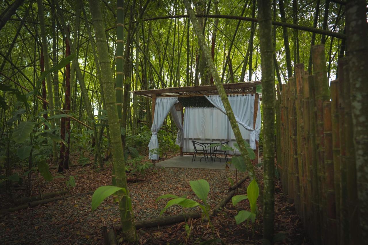 Amanatu Ecolodge & Spa Quimbaya Zewnętrze zdjęcie