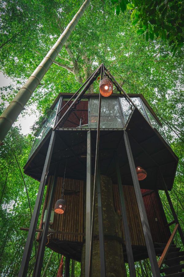 Amanatu Ecolodge & Spa Quimbaya Zewnętrze zdjęcie